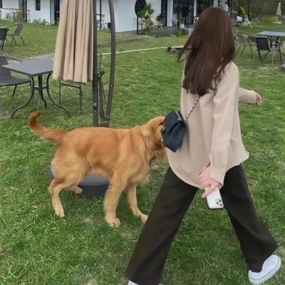 凯南·吉尔：此致敬礼