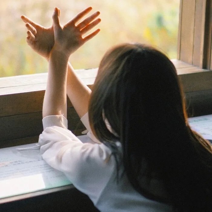 白莲花度假村第三季